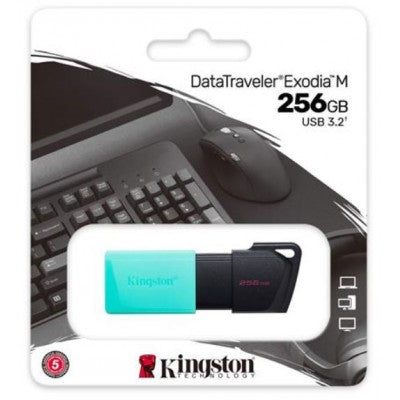 Kingston USB 3.2 Flash Drive DTXM/256GB (NO CAP)